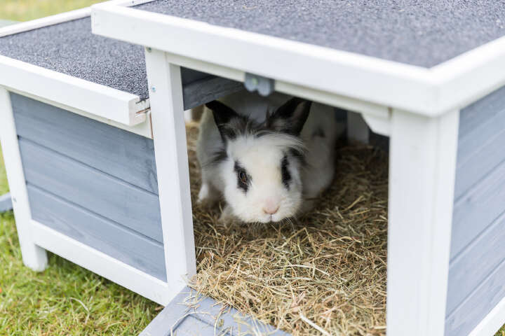 TRIXIE Kleintierhaus mit 2 Eingängen
